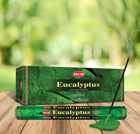 3x Eucalyptus incense - 20 sticks / fragrance sticks