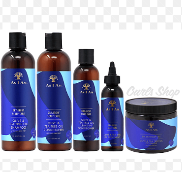 AS I AM DRY & ITCHY SCALP CARE SET